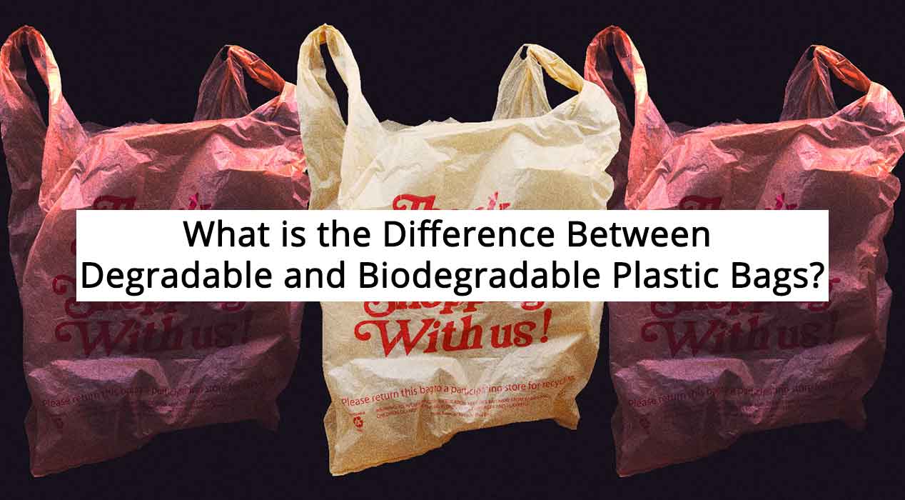 Difference Between Degradable and Biodegradable Plastic Bags